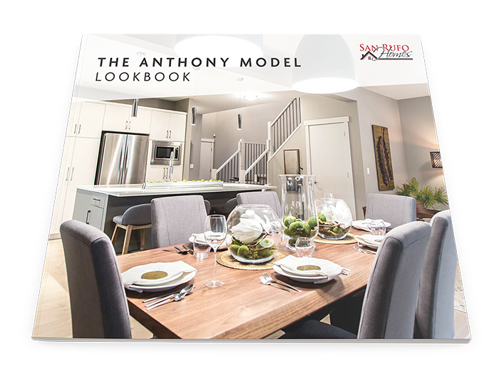 The Anthony Model