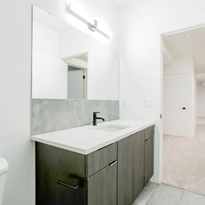 Modern Infill Staged Basement Bathroom 3